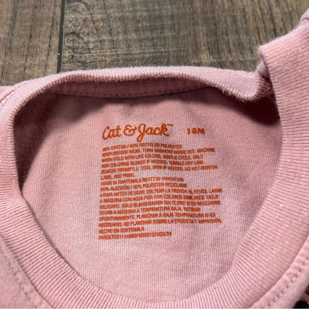 Twin Girls Cat & Jack Long Sleeve Dusty Pink Ballerina Graphic T-Shirt 18 Months